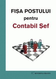 Model fisa postului contabil sef