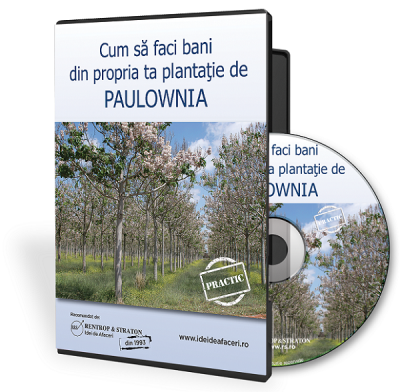 Propria ta Plantatie de Paulownia