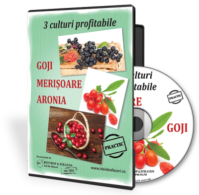 3 culturi profitabile - Goji  Merisoare  Aronia