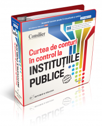 Consilier Curtea de Conturi in control la institutiile publice