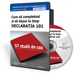 Cum sa completezi si sa depui la timp Declaratia 101