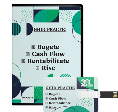Bugete, cash flow, rentabilitate, risc - ghid practic