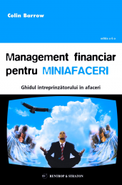 Management financiar pentru miniafaceri