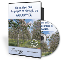 Propria ta Plantatie de Paulownia