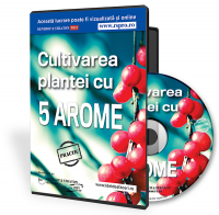 Cultivarea plantei cu 5 arome