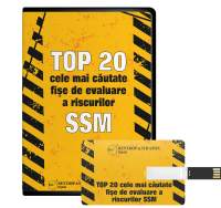 Top 20 cele mai cautate fise de evaluare a riscurilor SSM