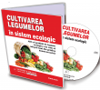 Afaceri la Cheie - GHID PRACTIC - Cultivarea legumelor in sistem ecologic